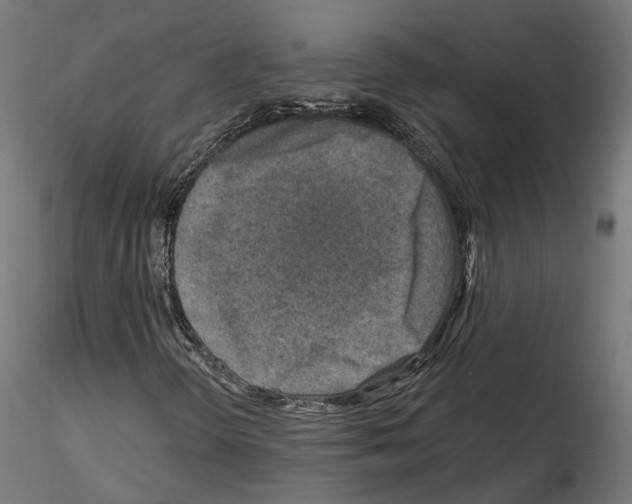 X0000114691298200912021035