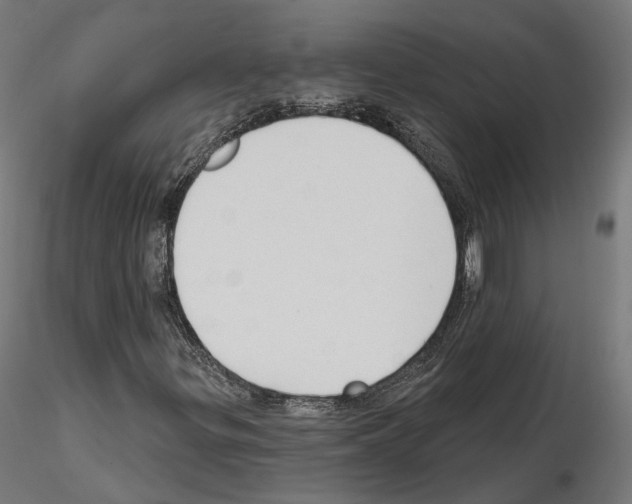 X0000114691299200912021036