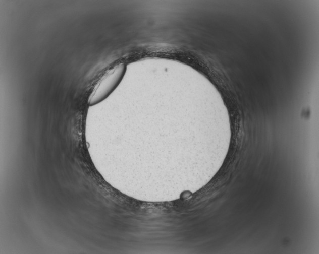 X0000114691301200912021036