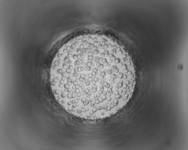 X0000114691302200912021036