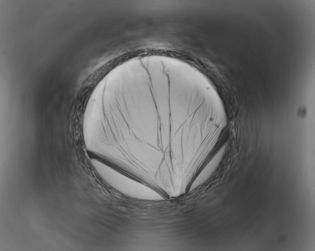 X0000114691303200912021036