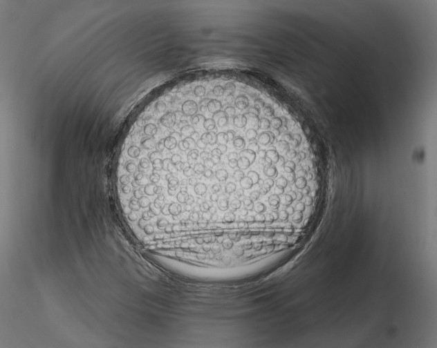X0000114691305200912021036