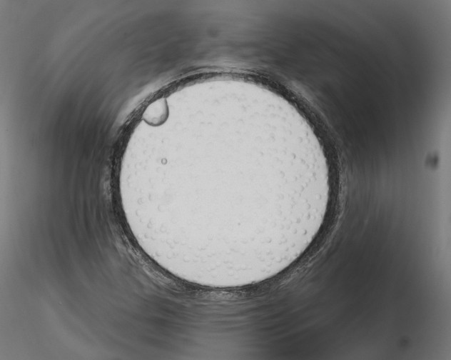 X0000114691307200912021036