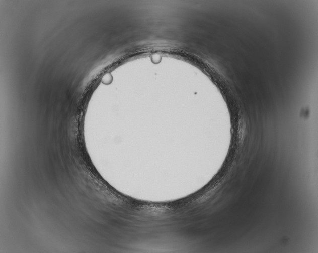 X0000114691309200912021036