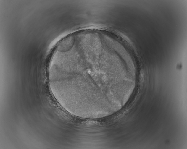 X0000114691310200912021036