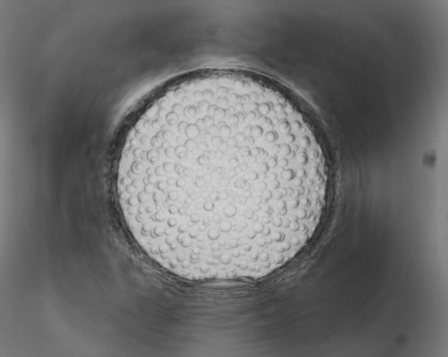 X0000114691311200912021036