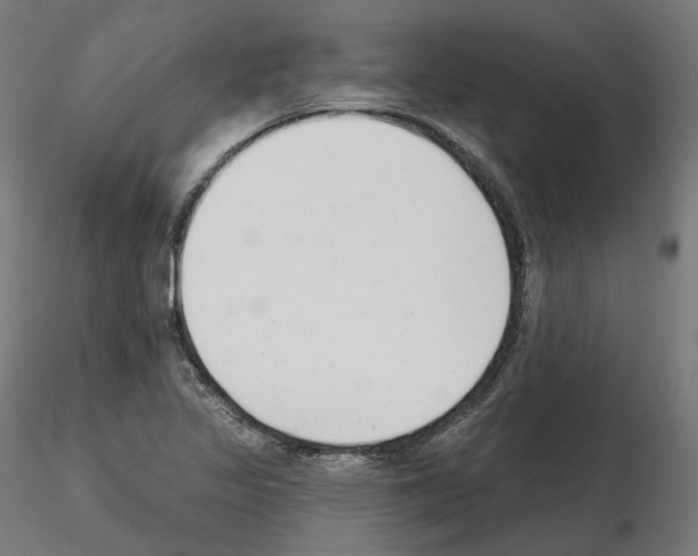 X0000114691317200912021036
