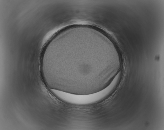 X0000114691319200912021036