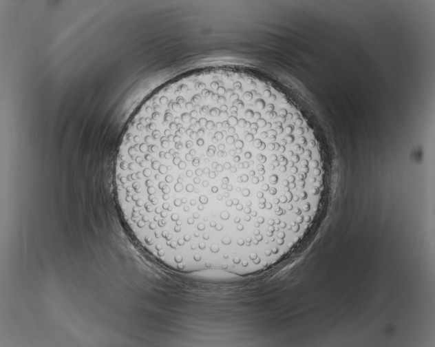 X0000114691321200912021036