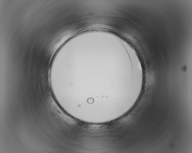 X0000114691322200912021036