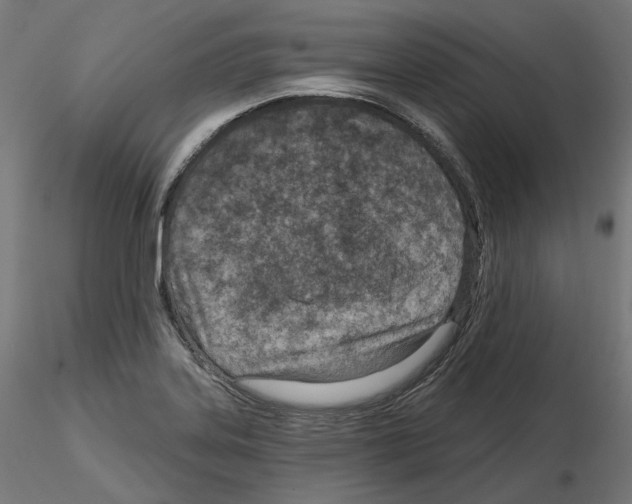 X0000114691323200912021036