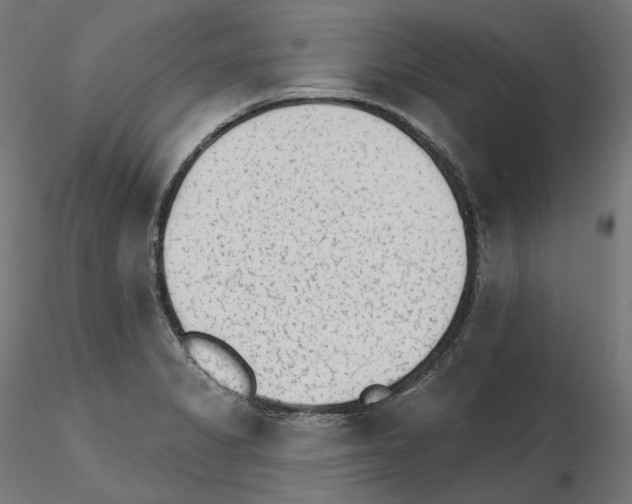 X0000114691325200912021036