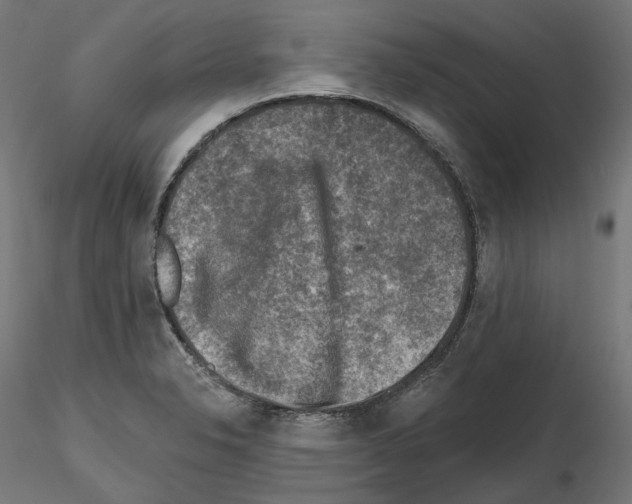 X0000114691326200912021036