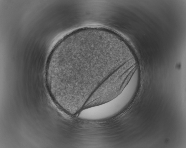X0000114691327200912021036
