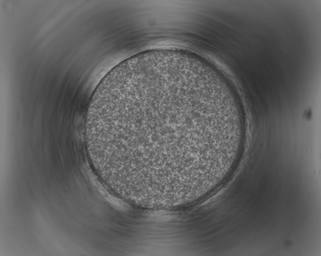 X0000114691329200912021036