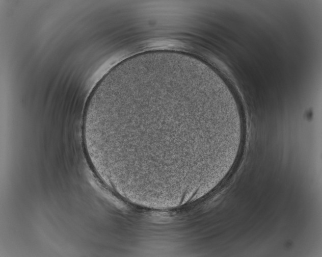 X0000114691330200912021036