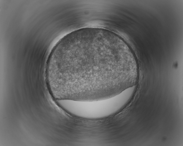 X0000114691331200912021036
