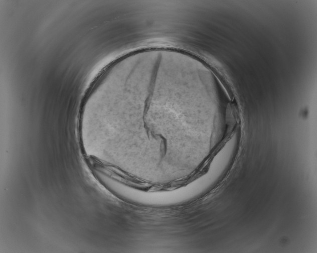 X0000114691334200912021036