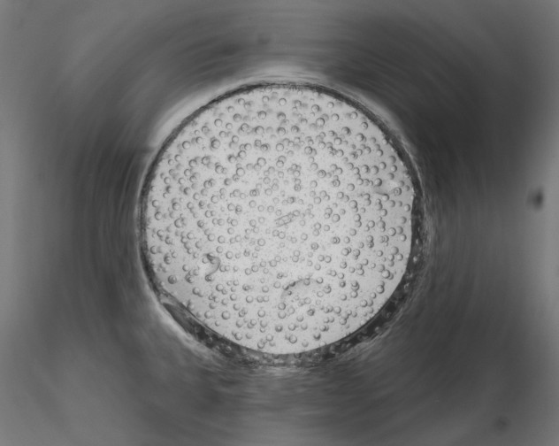 X0000114691335200912021036