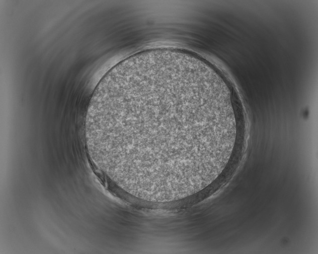 X0000114691337200912021036