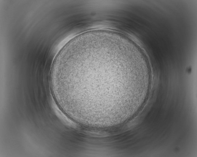 X0000114691338200912021036