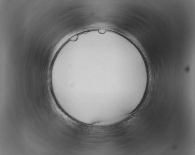 X0000114691339200912021036
