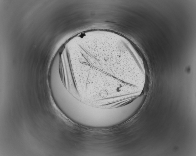 X0000114691342200912021036