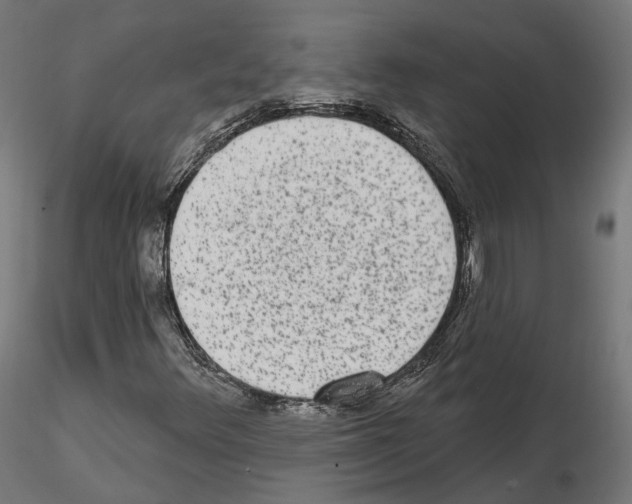 X0000114691348200912021035