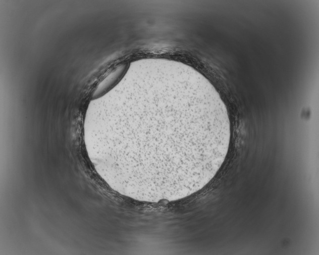 X0000114691349200912021035