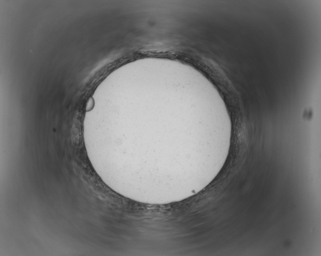 X0000114691350200912021035