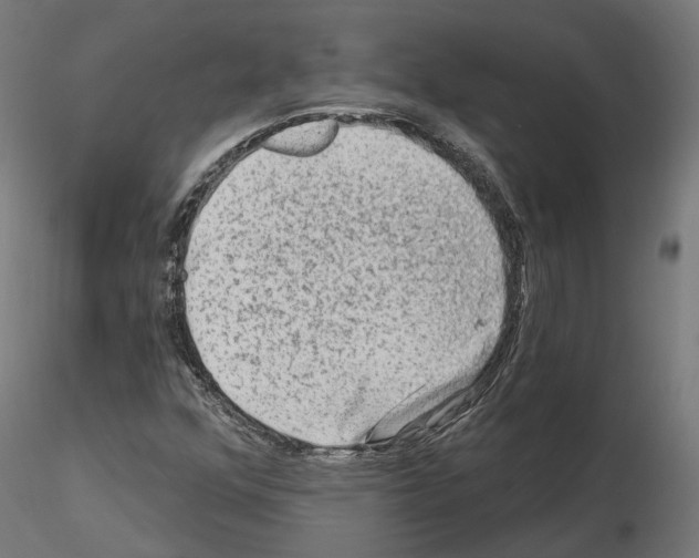 X0000114691352200912021035