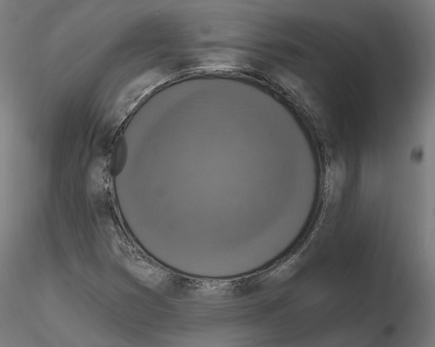 X0000114691353200912021035