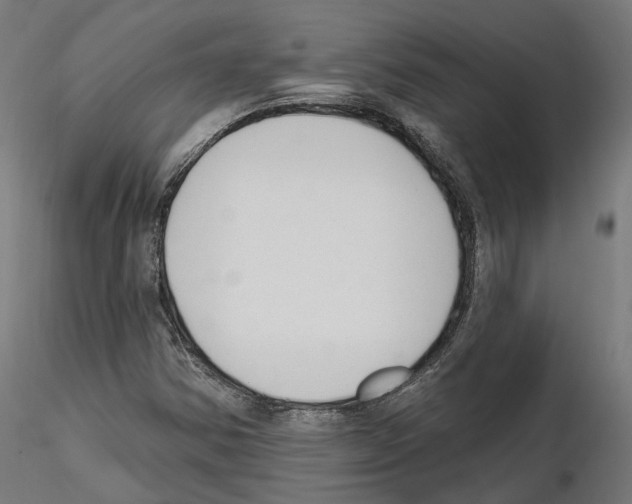 X0000114691354200912021035