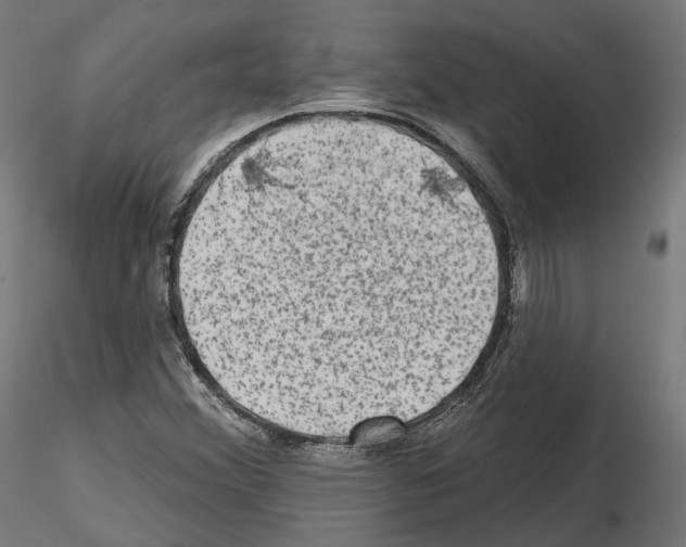 X0000114691356200912021035