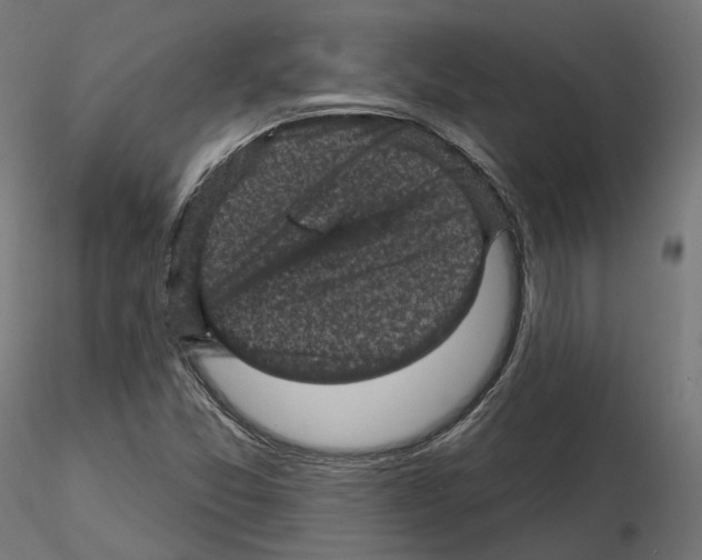 X0000114691357200912021035