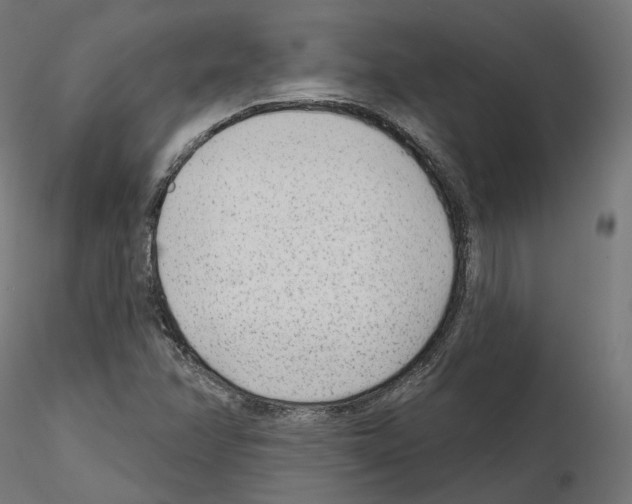 X0000114691358200912021035