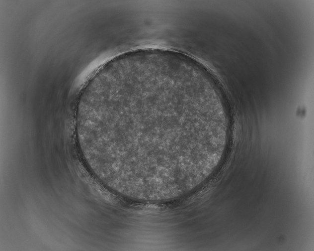 X0000114691359200912021035