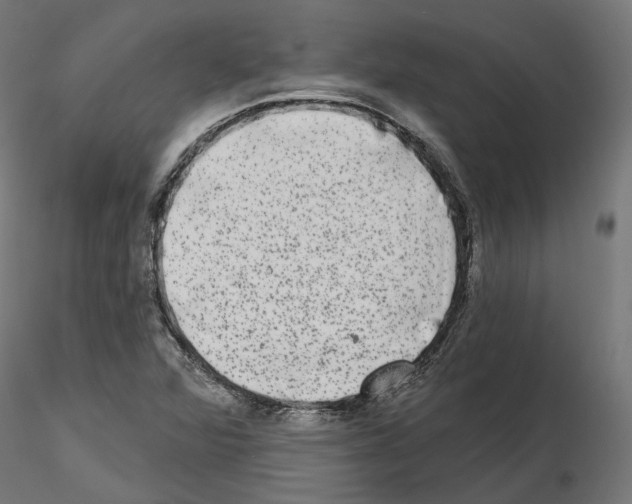 X0000114691360200912021035