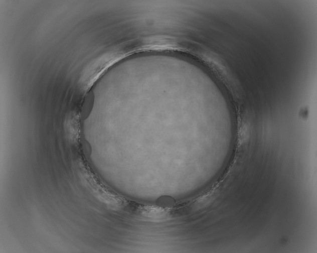 X0000114691361200912021035
