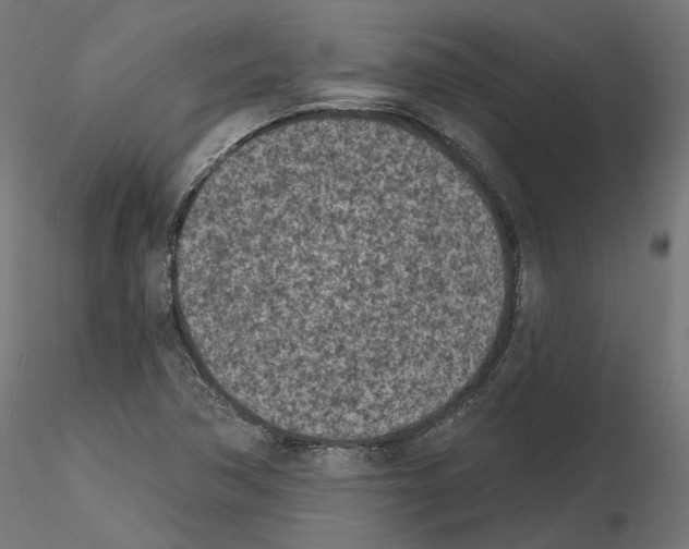 X0000114691362200912021035
