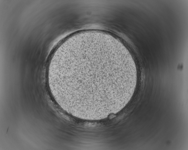 X0000114691364200912021035