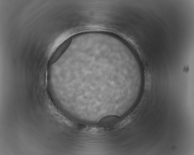 X0000114691365200912021035