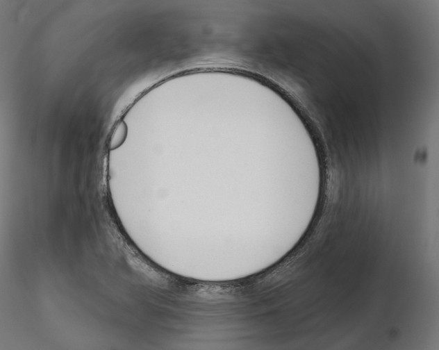X0000114691366200912021035