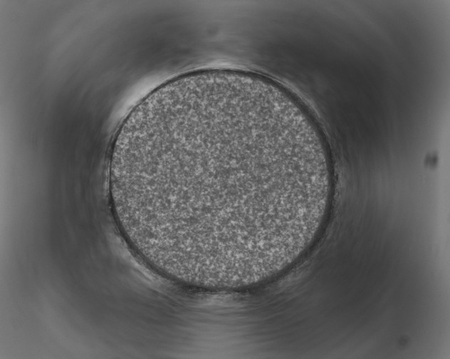 X0000114691367200912021035