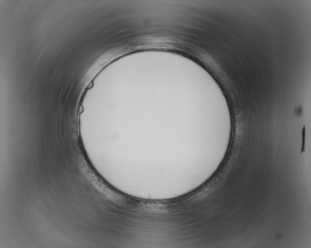 X0000114691370200912021035