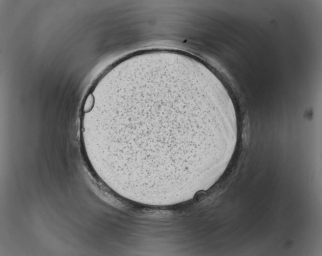 X0000114691372200912021035