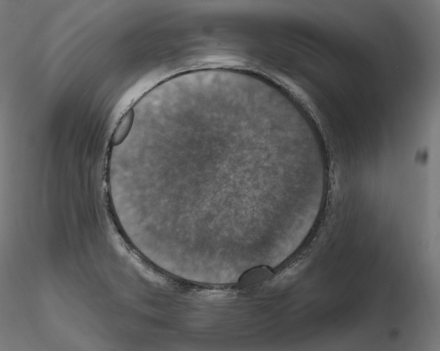 X0000114691373200912021035