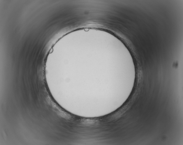 X0000114691374200912021035