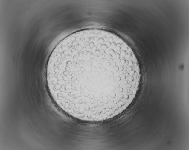 X0000114691375200912021035
