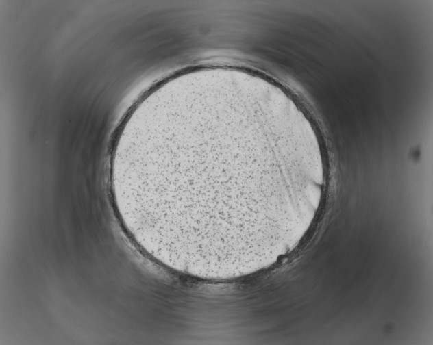 X0000114691376200912021035